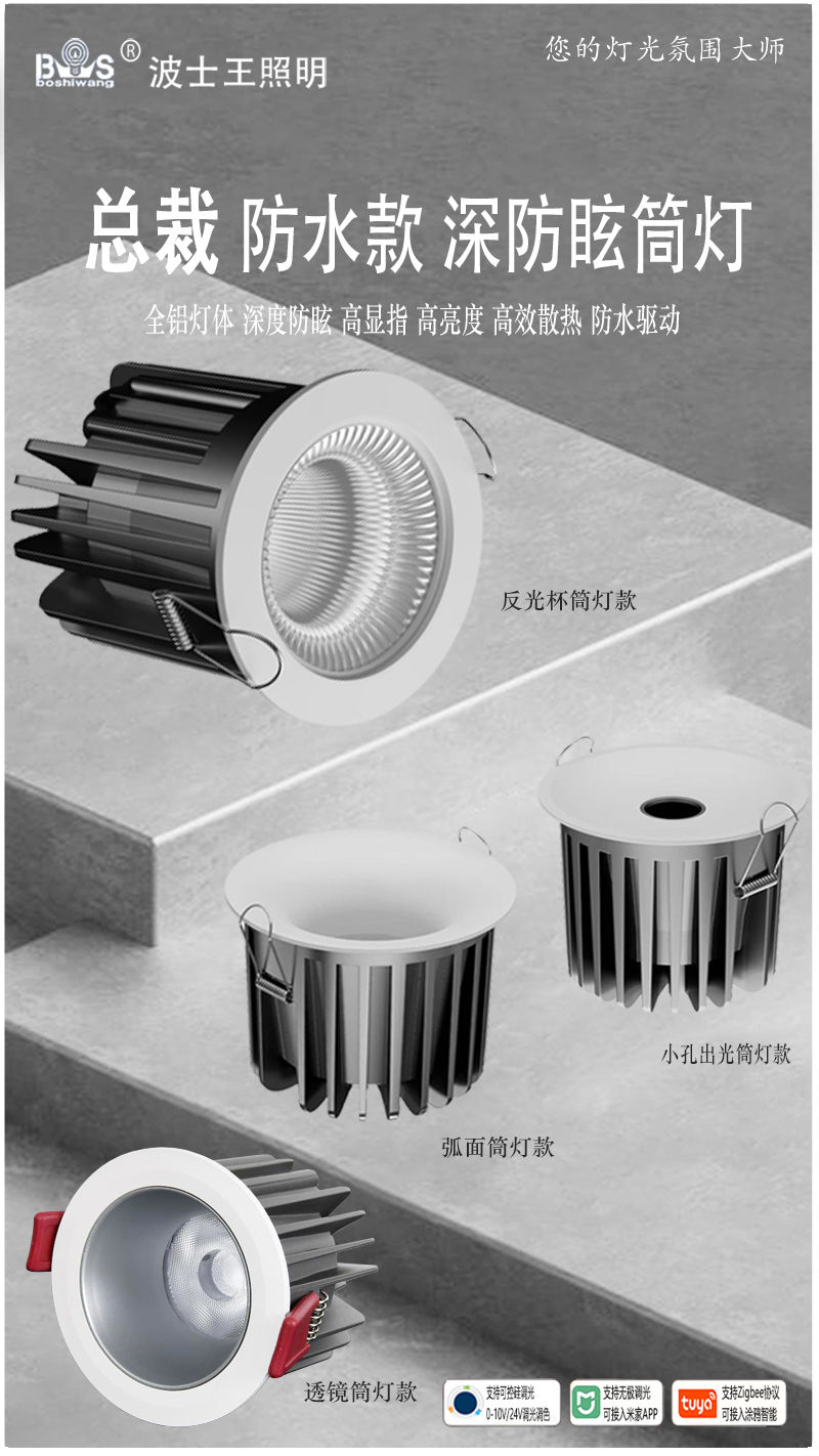 T382S1总裁 防水筒灯.jpg