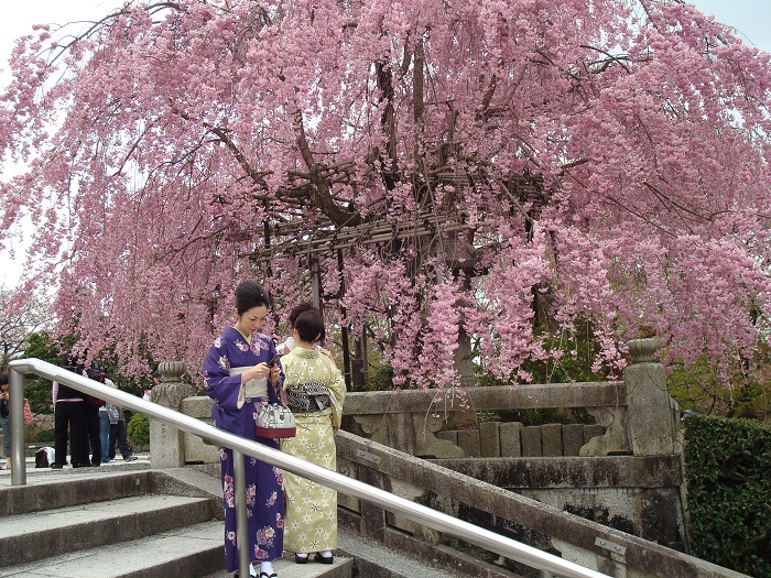 以热制热方能解热的东京日归温泉