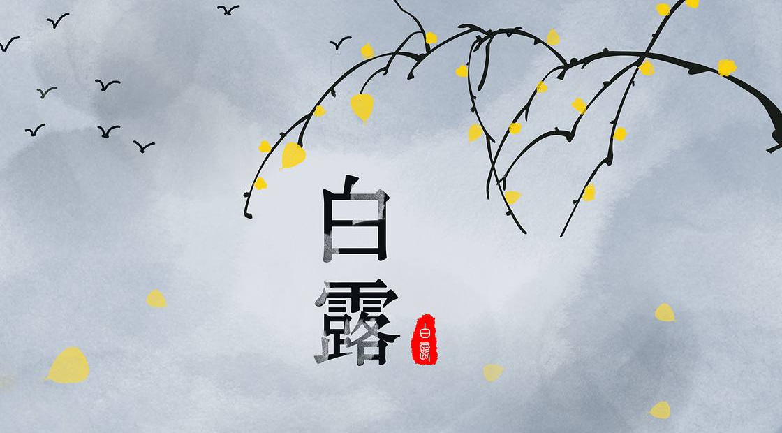 白露含秋，秋始白露。从此，风轻、云淡、天高、水长……心中有秋，秋自会来！