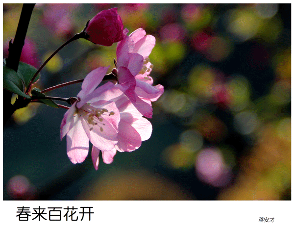 2019上期摄影班学员蒋安才作品2