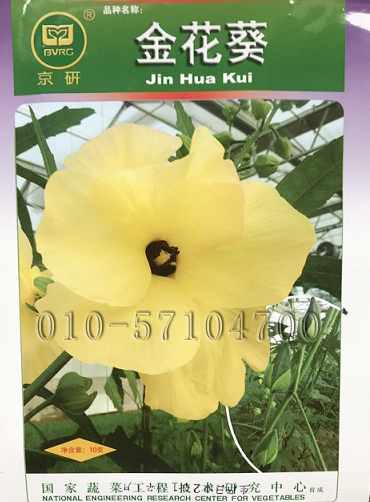 菜芙蓉种子 金花葵种子食用花卉种子食花和果实花卉种子 其他叶菜种子 叶菜类种子 在线商城 多又奇种子网