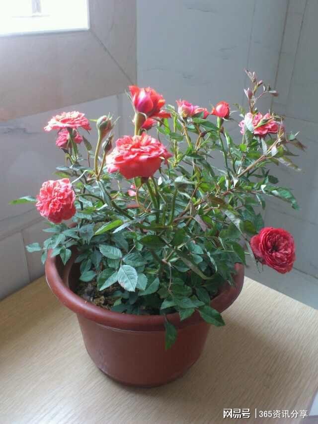 铝合金隔音门窗怎样选？