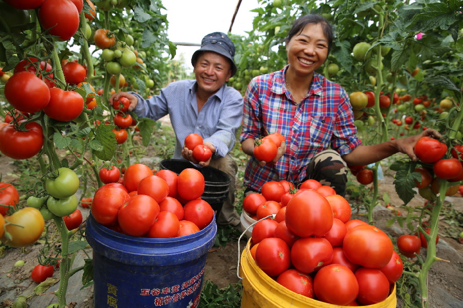 化肥包装上的骗术，你上当了吗？