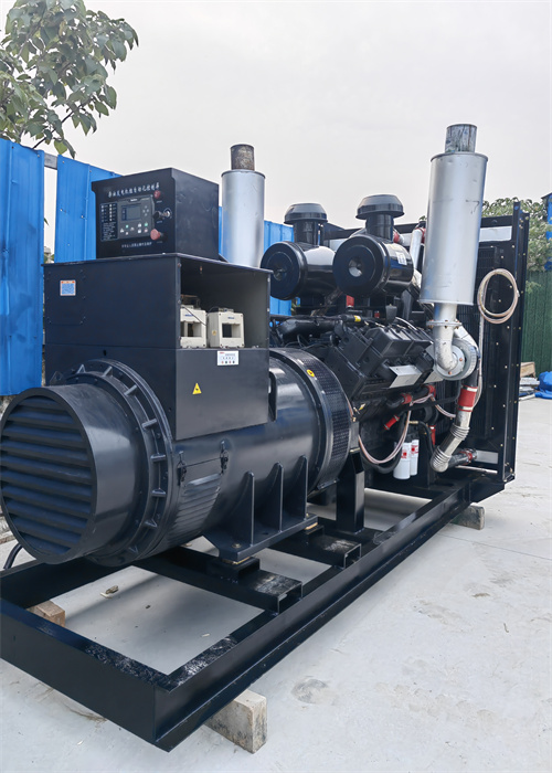 20250528163033_57450.jpg 1000KW (1).jpg