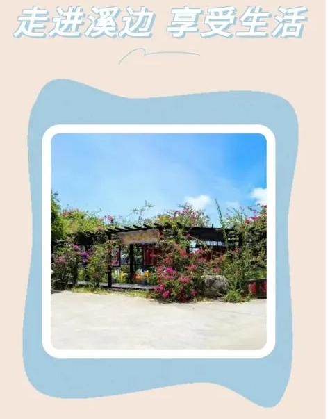 走进溪边，享受生活