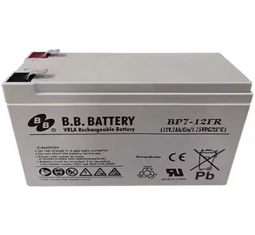 20250417080612_56533.jpg BB.jpg