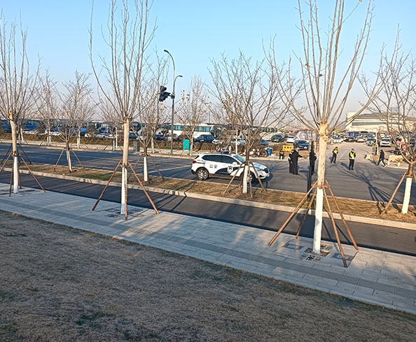 大巴车租赁案例展示