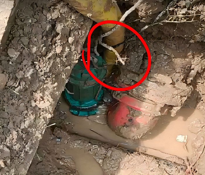 20250820103629_77421.jpg UZLFD5X00}A{_A4NLVWPW09(1).jpg