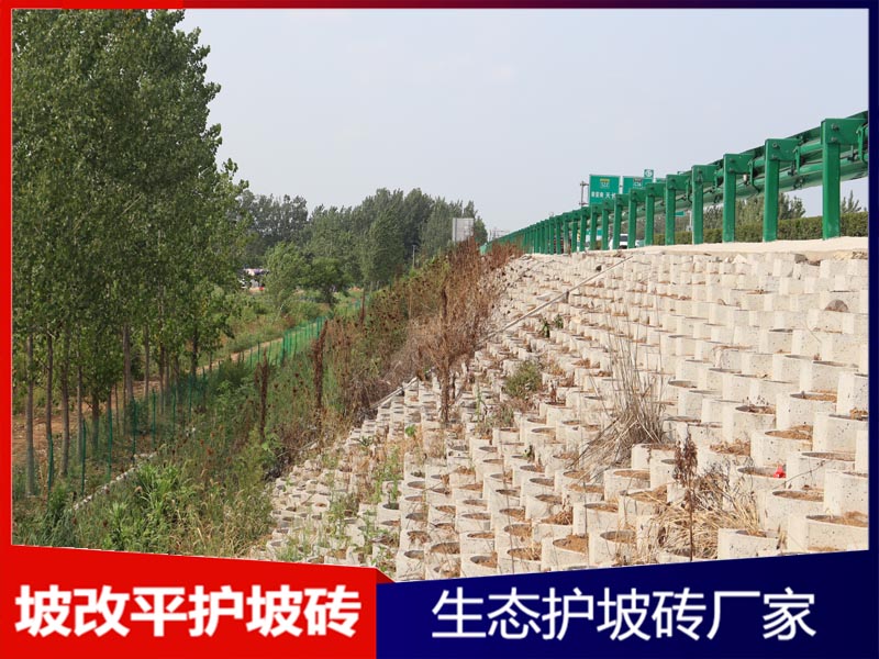 坡改平护坡砌块工程案例