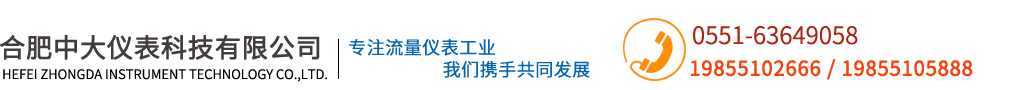 合肥中大仪表科技有限公司