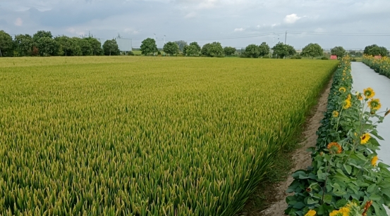 20241025140741_56906.png 06.png