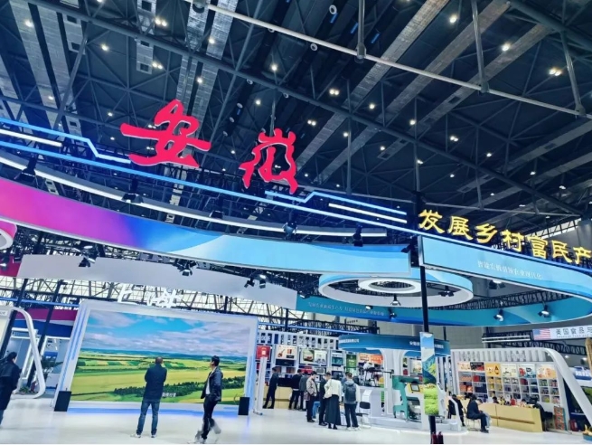2025国际乡村发展创新博览会开幕，小岗蒸谷米惊艳亮相