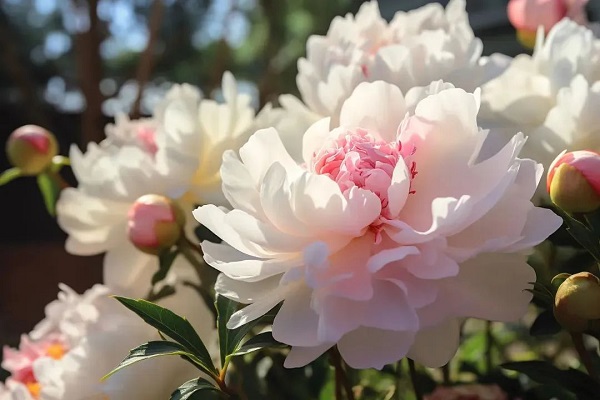 20240407153653_17547.jpg 640.jpg