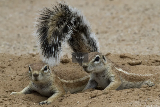 20240717161936_80115.png image.png