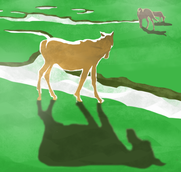 20241217155643_59387.png image.png