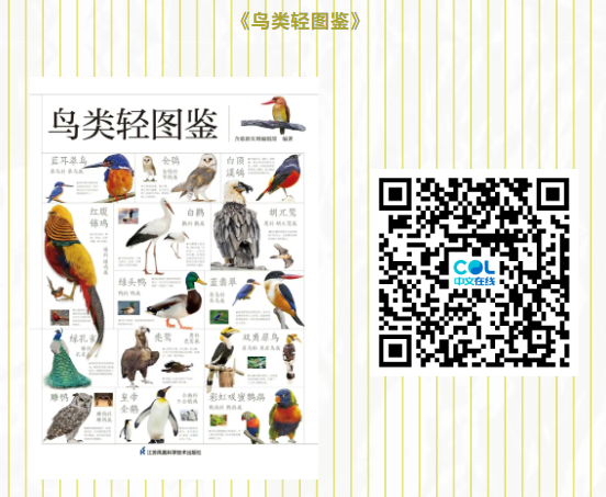 20250701110949_49150.png image.png