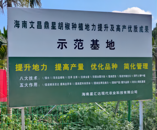 海南文昌鼎星胡椒种植地力提升及高产优质成果示范基地