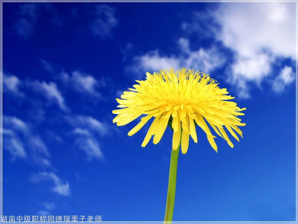 20201231102747_28432.jpg 13.jpg