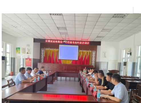 安徽省湖南商会唐金华执行会长一行走访宿松县乌池村