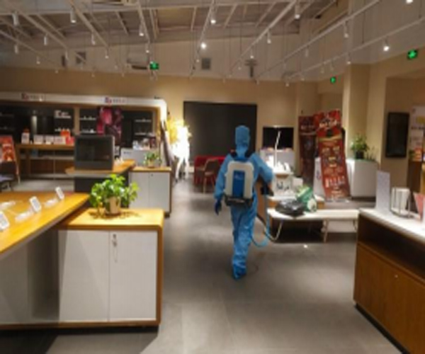 合肥办公室除虫