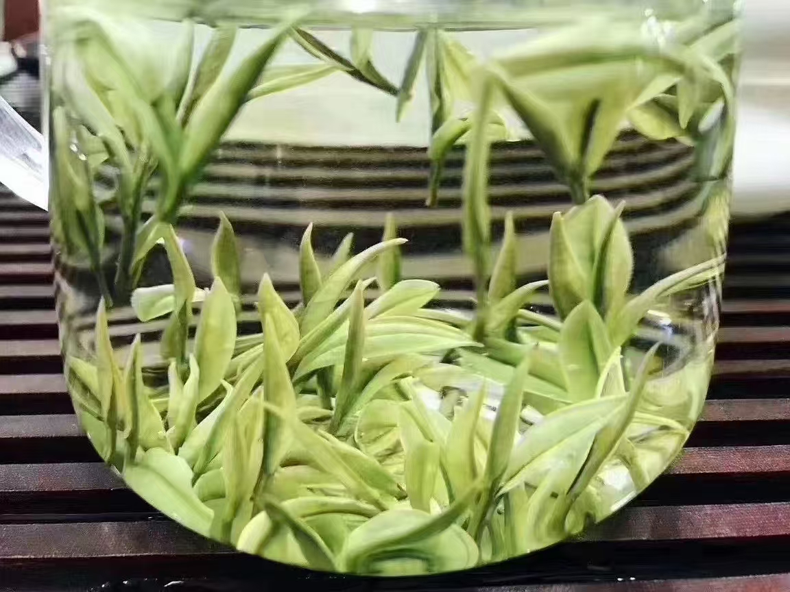 泰山女儿茶红茶与绿茶的特点