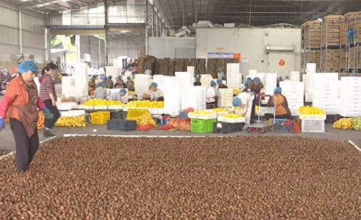 为农产品装上“保鲜阀”，该地有新方案