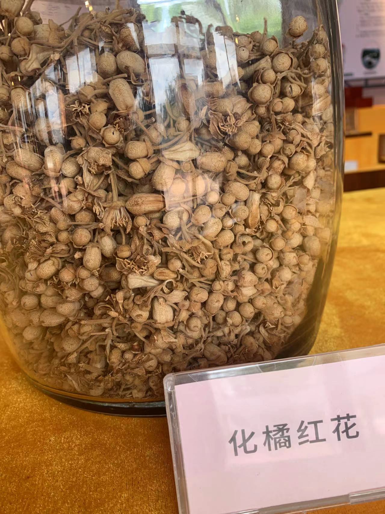 健康传统文化 ：史学家范祖禹首发化州橘红