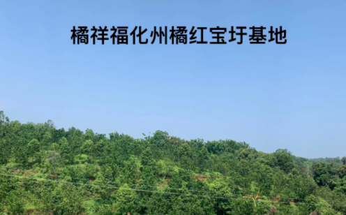 20220510100127_73545.png image.png