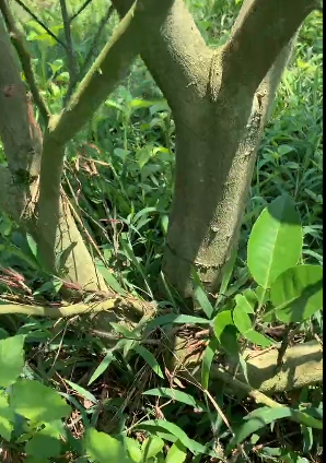 20220510100422_77137.png image.png