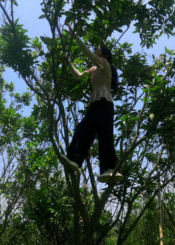 20220510100433_68026.png image.png