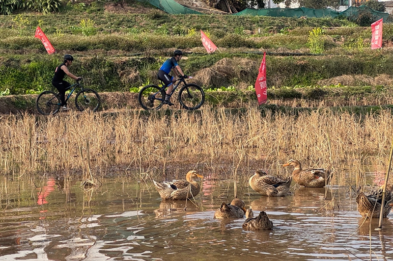 2026第三届稻田田埂自行车赛 (6).jpg