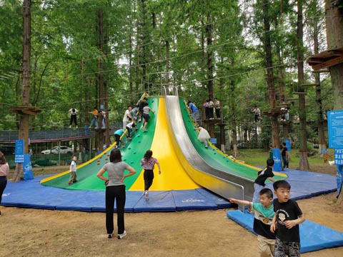 480.jpg