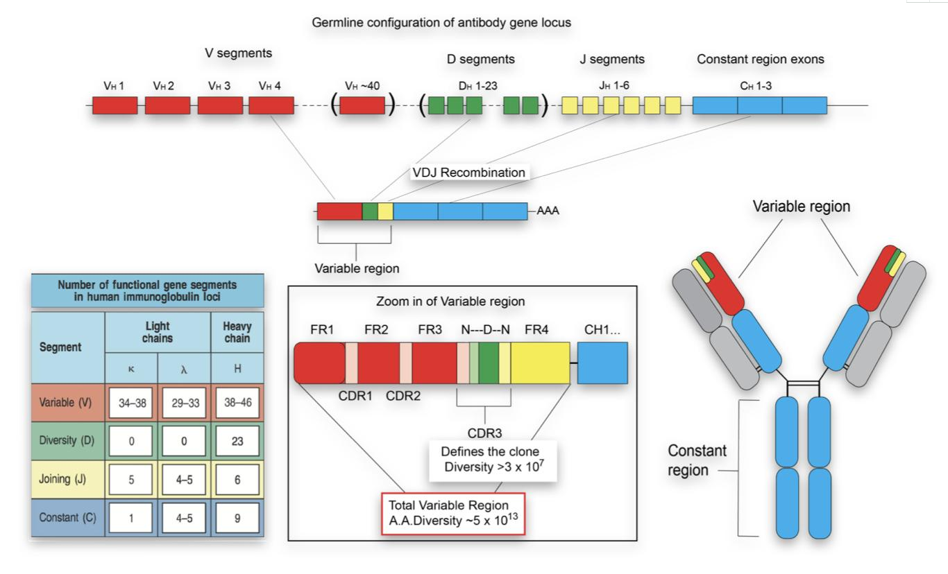 Cloud Zoom small image