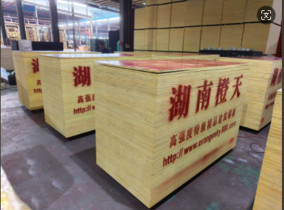 20240927104524_37336.png image.png