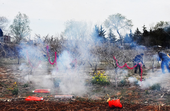 20240406010819_65424.jpg DSC_7071.jpg