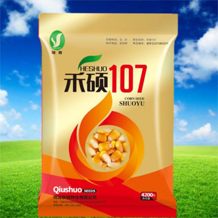 Cloud Zoom small image