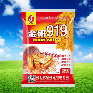 Cloud Zoom small image