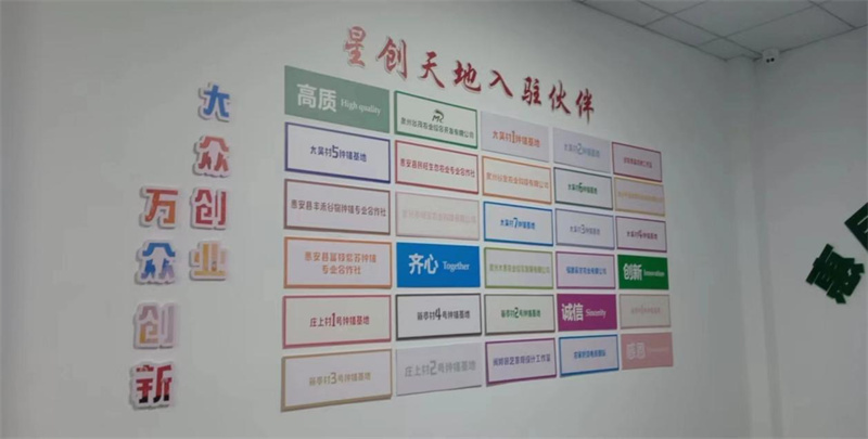 入驻企业（团队、创客）