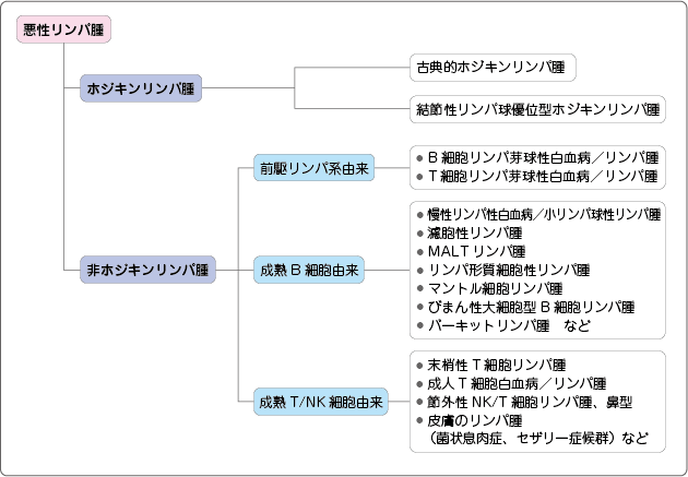 治疗恶性淋巴瘤 日本有什么样的秘密武器 站点公告 日本医疗美容学会