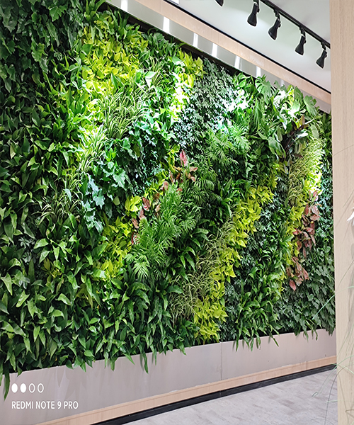 包头植物墙 垂直绿化公司