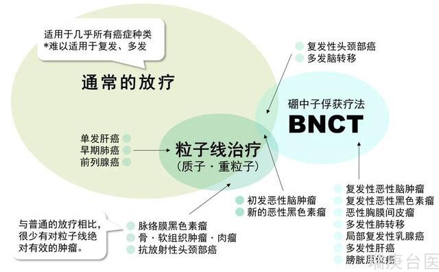 BNCT | 硼中子捕獲療法（BNCT）的適應癥