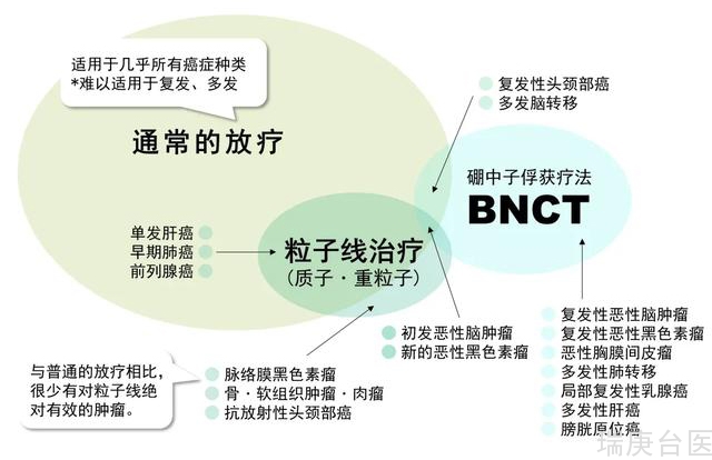 BNCT | 硼中子捕获治疗如何提高脑瘤放疗安全性