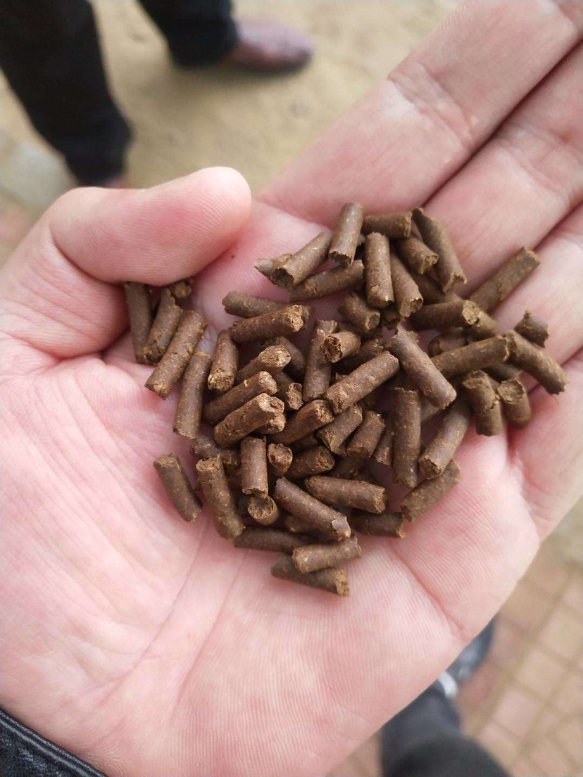 20210213213810_38158.jpg 爱健壮丸1.JPG