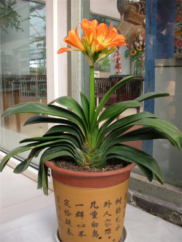 Cloud Zoom small image