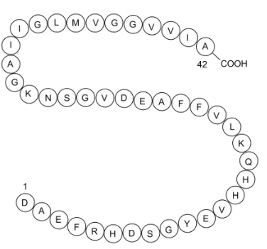 β-Amyloid-42   107761-42-2