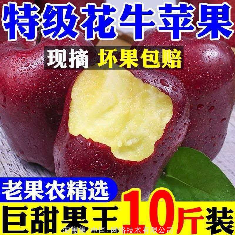 正宗天水花牛苹果粉面香甜蛇果婴儿刮泥红星苹果爆甜当季新鲜水果