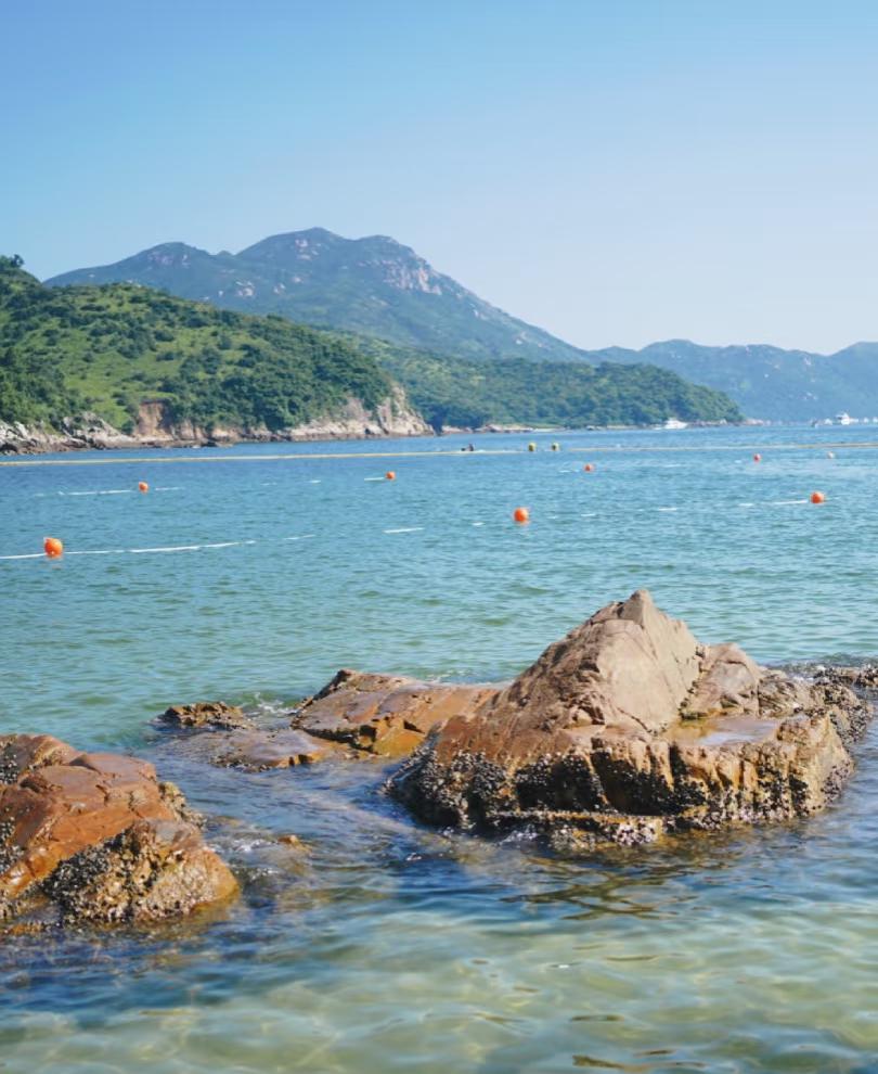 20250618133629_76706.jpg 图片1.jpg