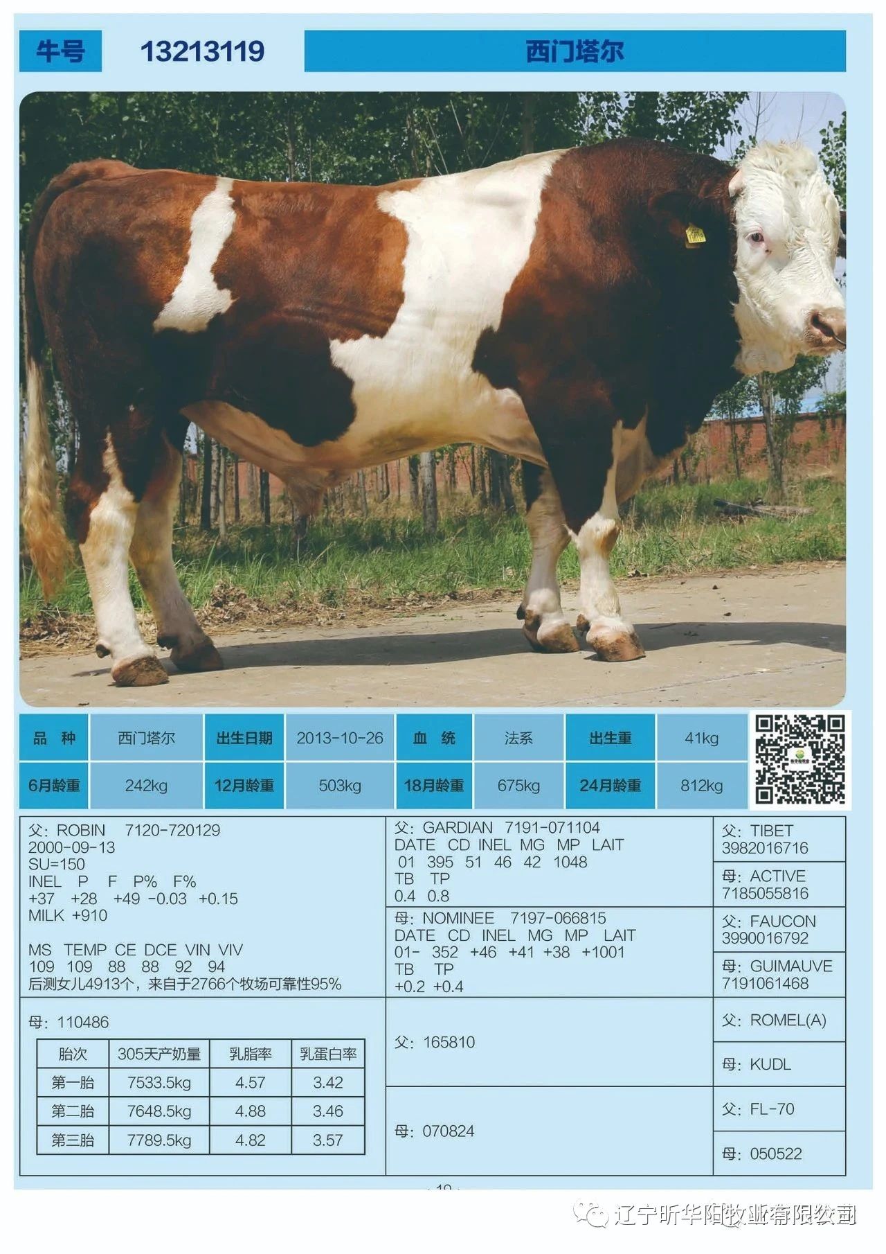 Cloud Zoom small image