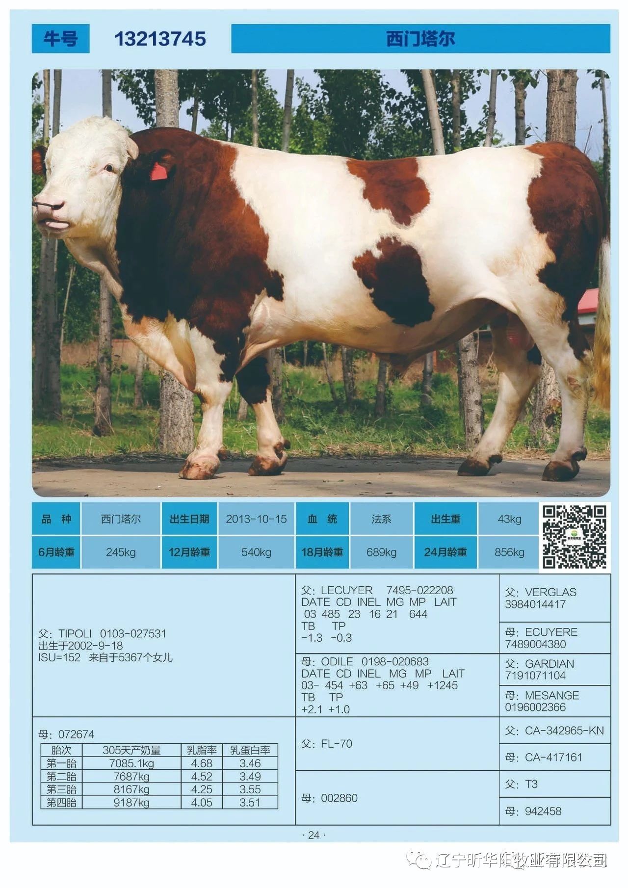 Cloud Zoom small image