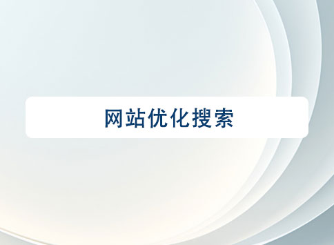 網(wǎng)站優(yōu)化搜索